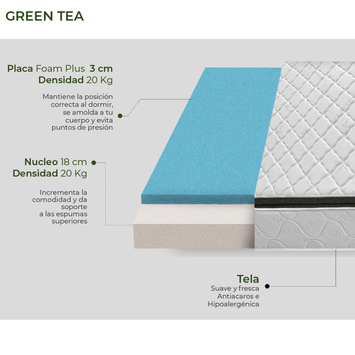 Bio Mattress Colchón Green Tea Queen Size Placa Foam Plus con Núcleo de  Hule Espuma de Alta Densidad Certificadas por la Certipur, 5 Años de  Garantía
